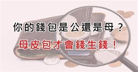 钱包公母|你知道你的「錢包是公還是母」？ 只有「母錢包」才會錢生錢